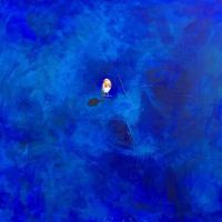 Roodborstje in blauw
2018
acryl op doek
in houten baklijst
100 x 100 cm
€ 1.350,-
€ 50,00 (huurprijs per maand)
Te zien in eigen atelier Dorine de Soet, Spittaalstraat 52 te Zutphen