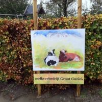 759 Twee koeien met de boerderij in de verte (naambord melkveebedrijf)