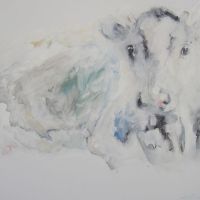 841 Liggende blauwe